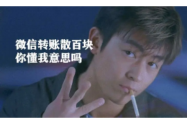 绥芬河为什么选择专业追讨公司来处理您的债务纠纷？